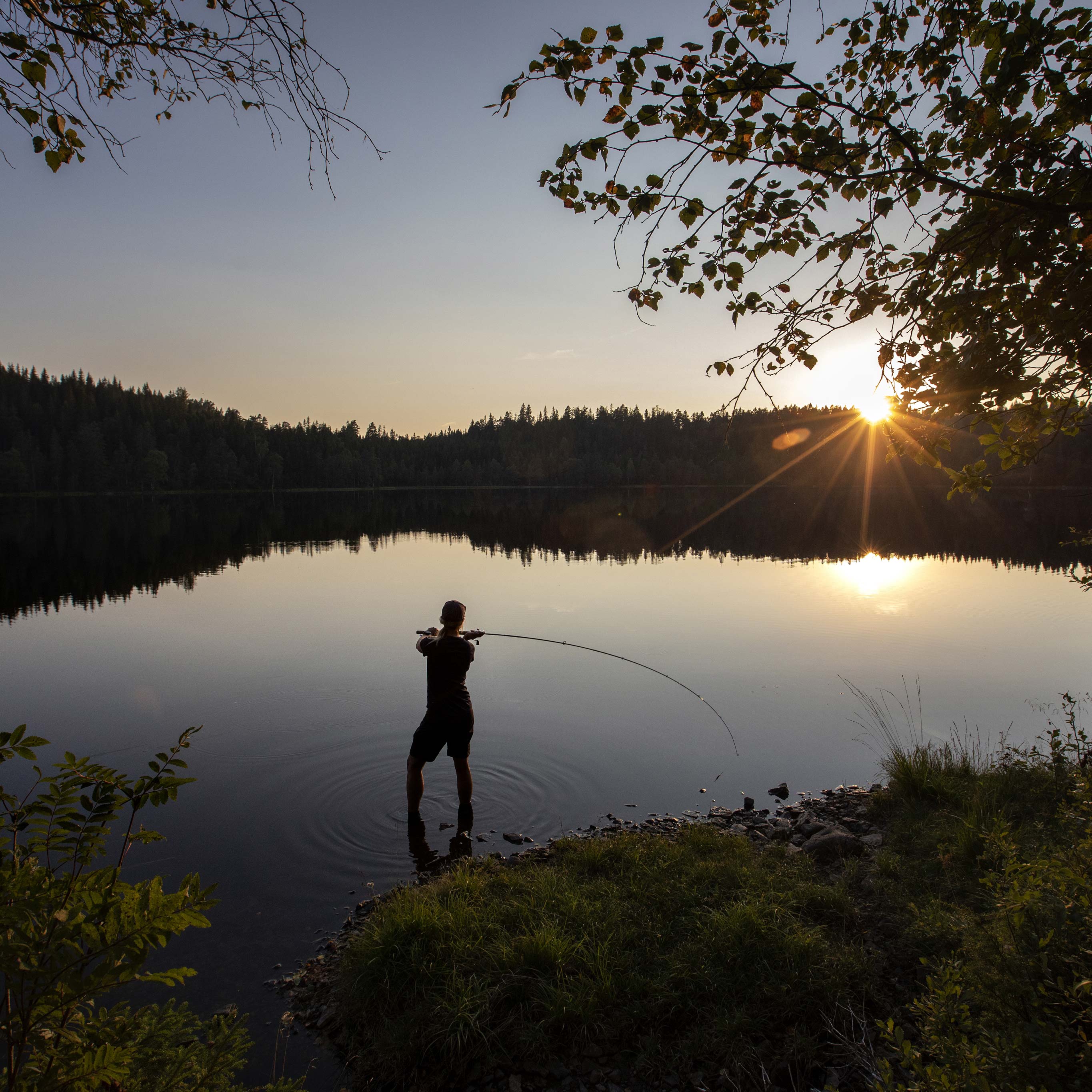 Bilde av et tjern i skogen med lav kveldssol til høyre i bildet, trærne på andre siden av vannet speiler seg i tjernet. I forkanten av  tjernet ser man silhuetten av en av Fiskejenter i Marka som står med føttene i vannet og kaster med en fiskestang. 